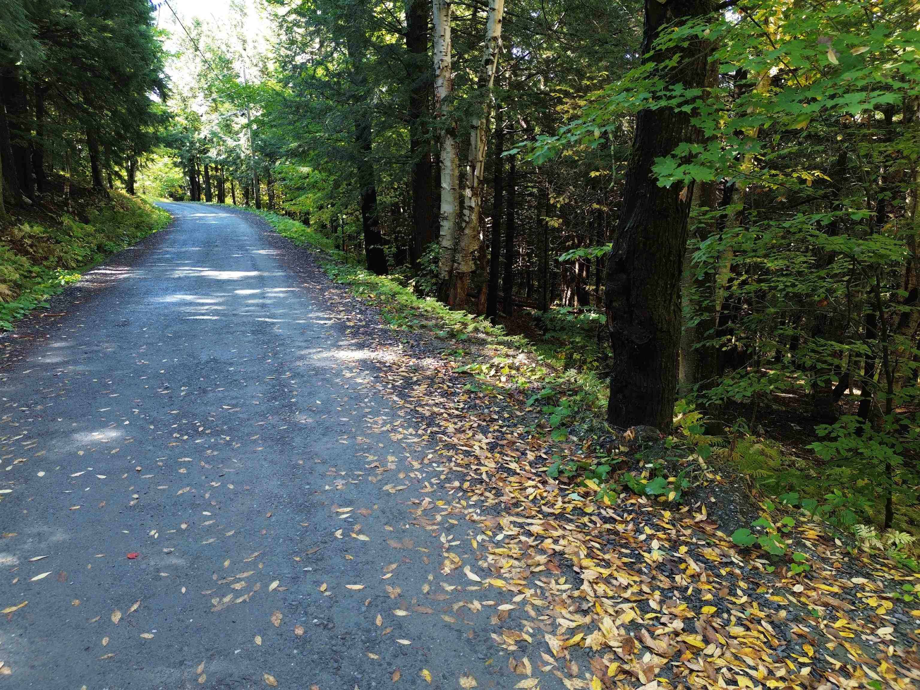 350 Anne Burns Road 19 & 20