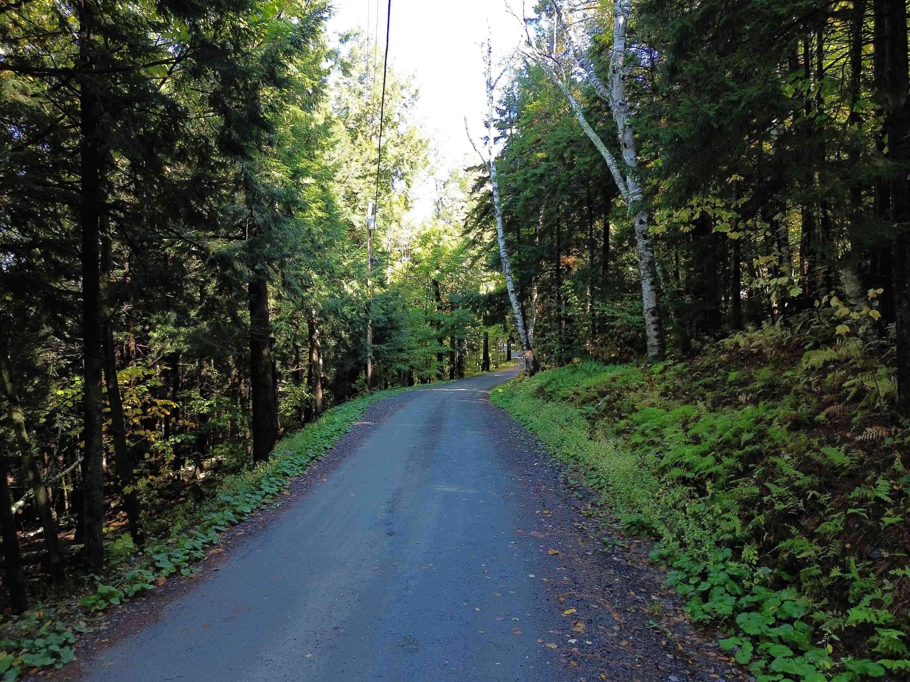 350 Anne Burns Road 19 & 20