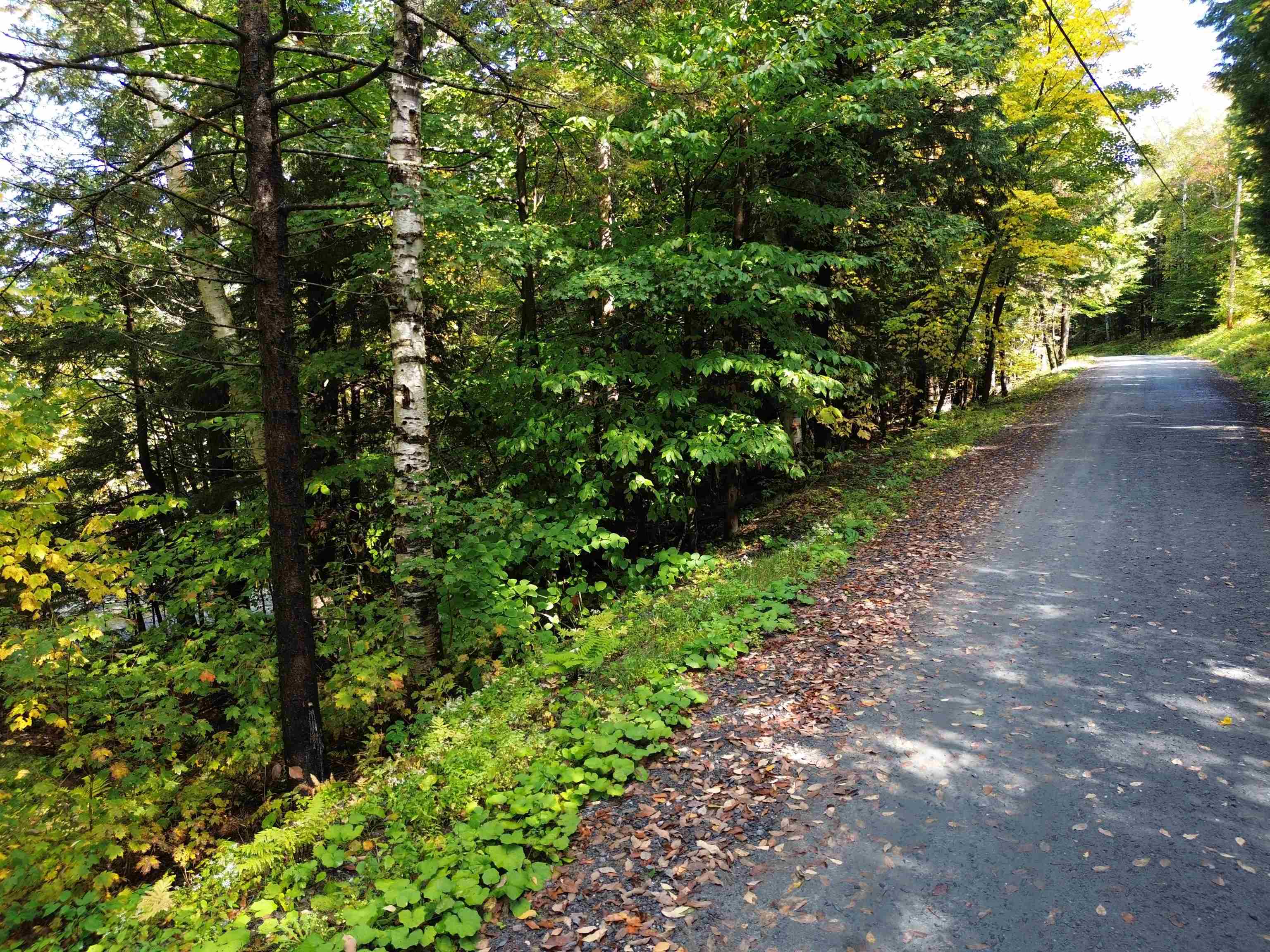 350 Anne Burns Road 19 & 20