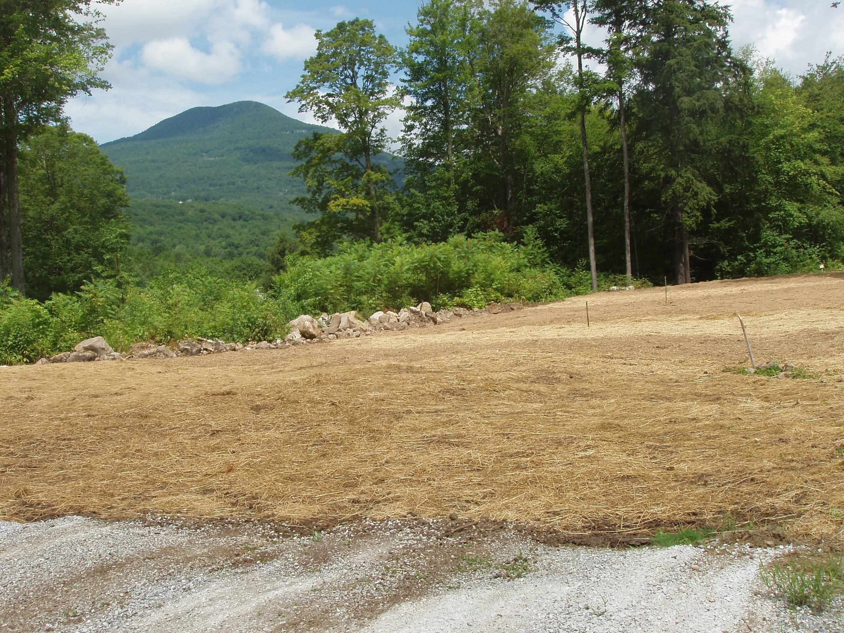 00 Finbar's  Forest Road 7