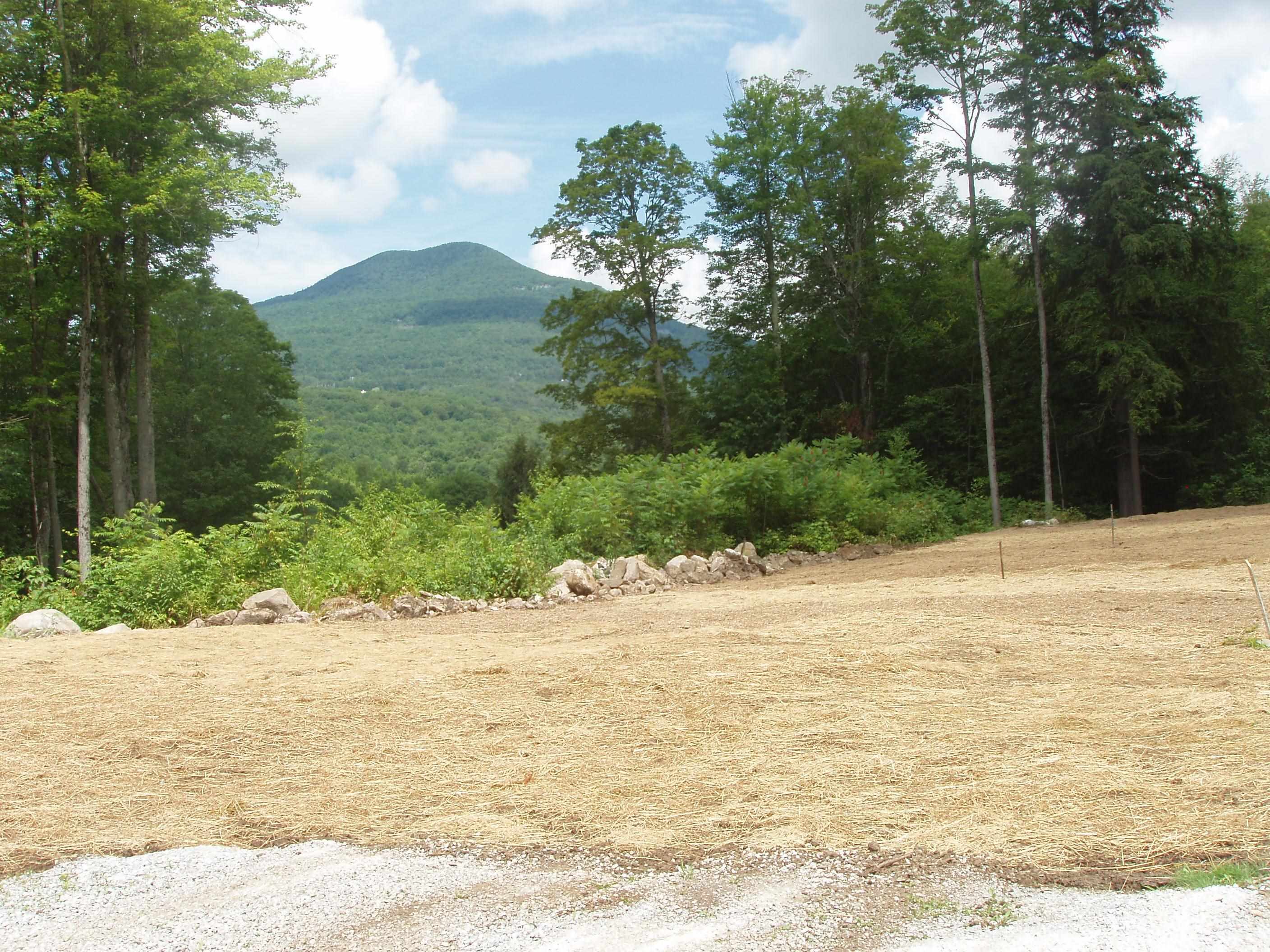 00 Finbar's  Forest Road 7