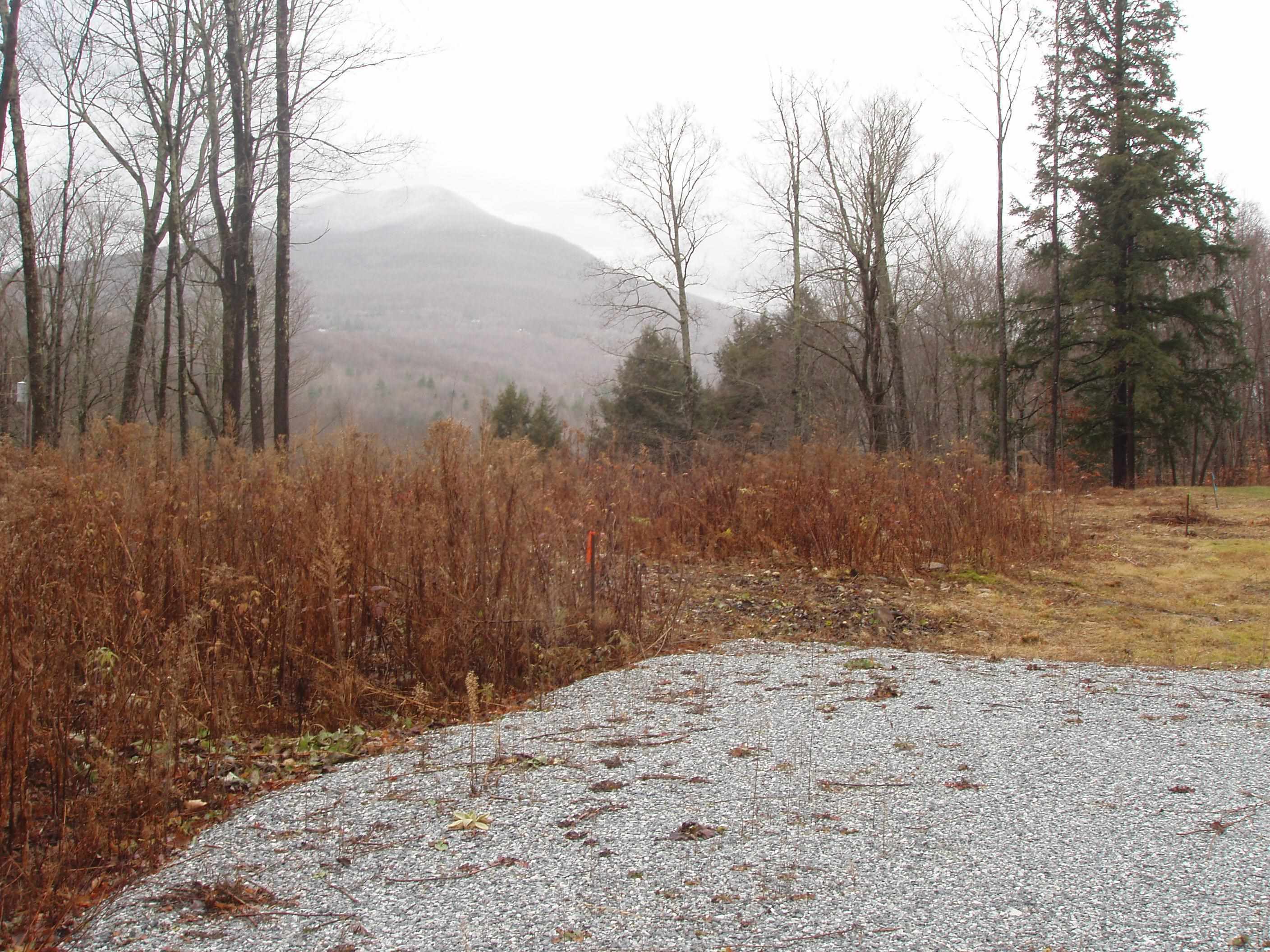 00 Finbar's  Forest Road 7