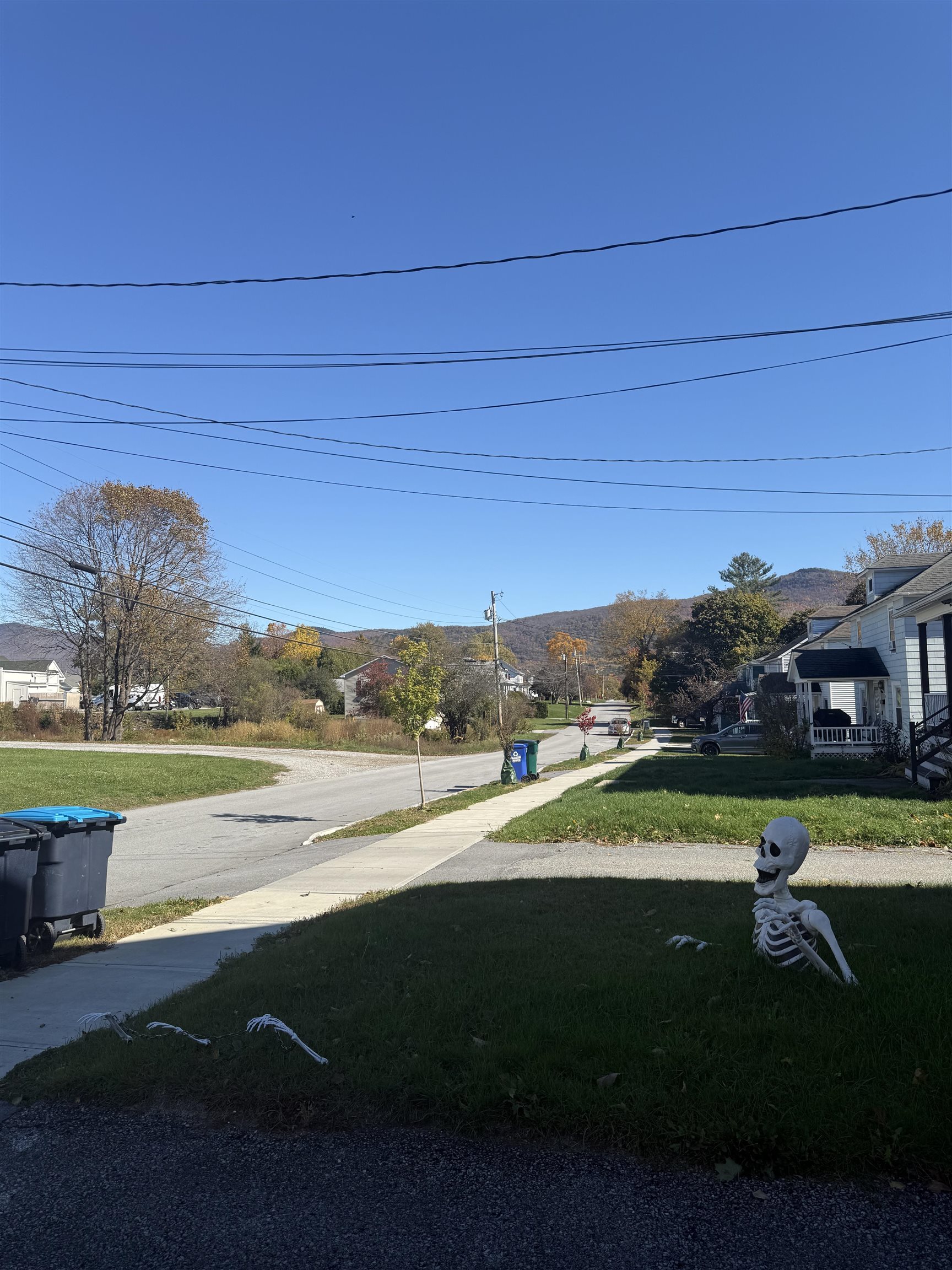 74 Harrington Avenue