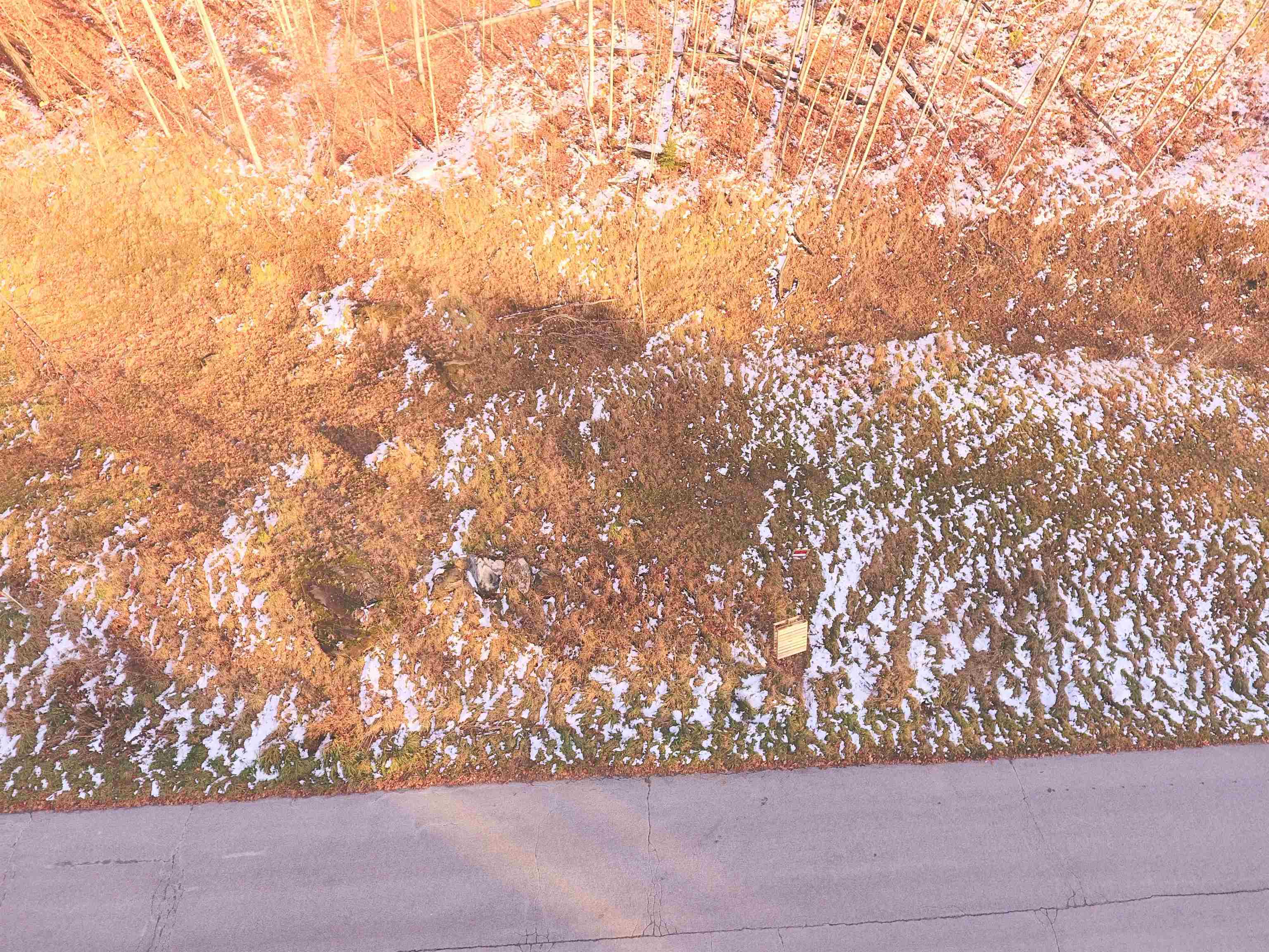 Lot # 11 Maplewood Avenue Lot #11