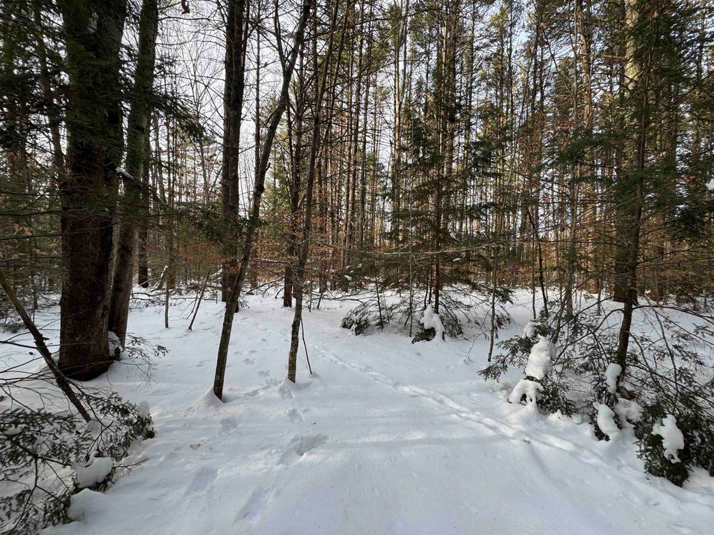 Photo of 68 Gilman Valley Road, Tamworth, NH 03883 (MLS # 5071573)