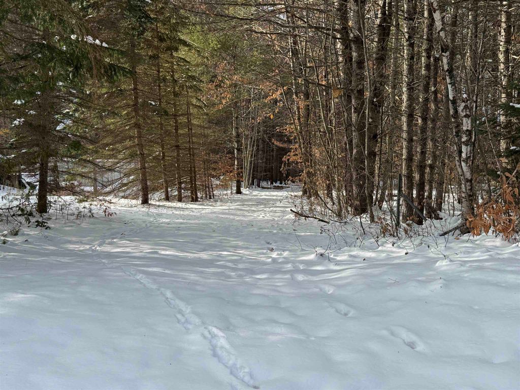 Photo of 68 Gilman Valley Road, Tamworth, NH 03883 (MLS # 5071573)