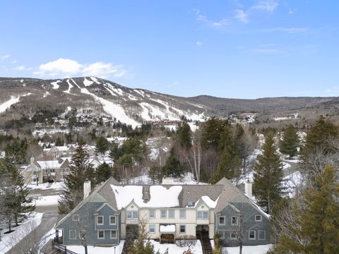 1D Dover Springs Lane Dover VT 05356