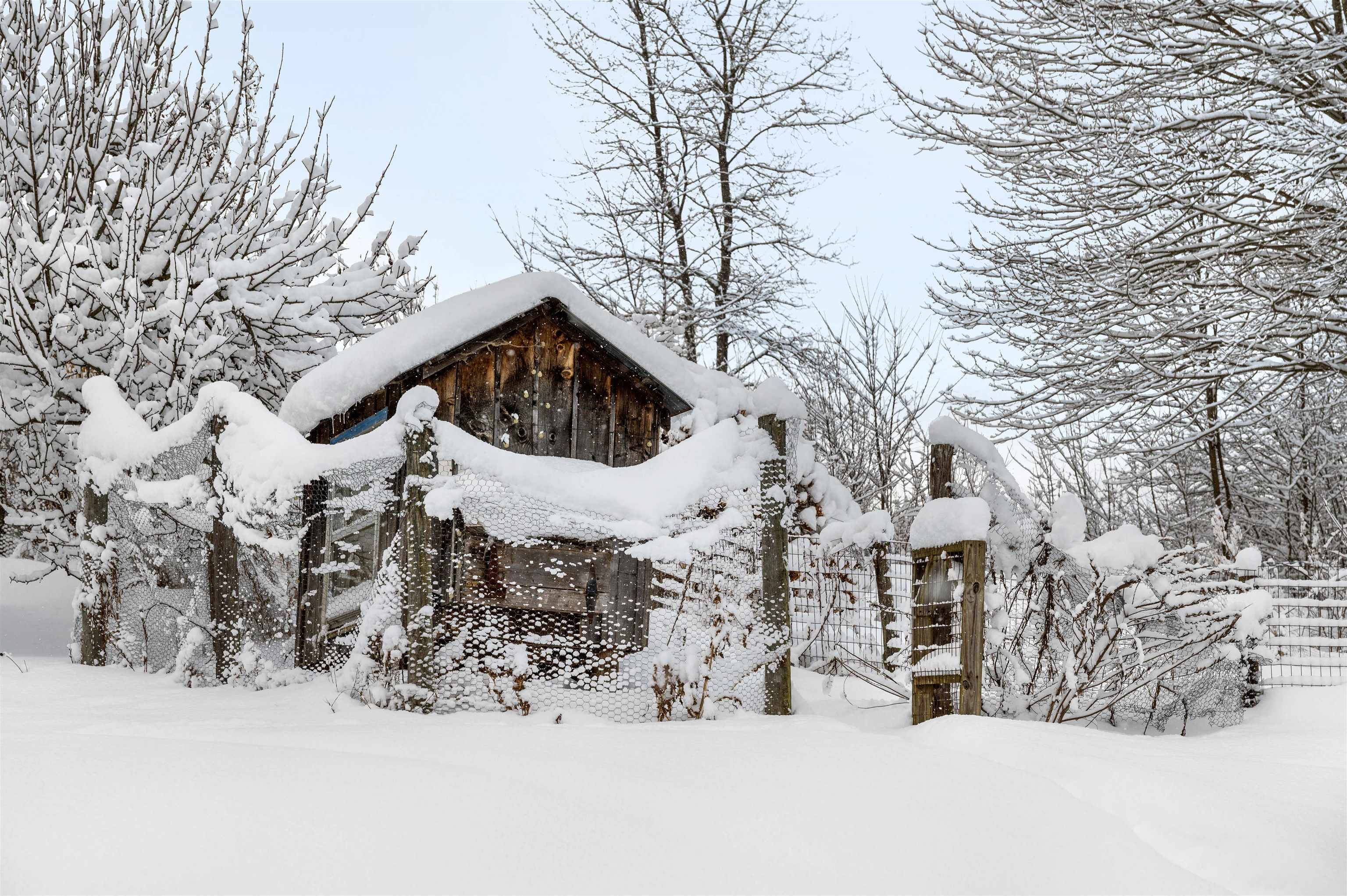 Hyde Park, Vermont 05655, United States, 4 Bedrooms Bedrooms, ,1 BathroomBathrooms,Residential,Pending,8005