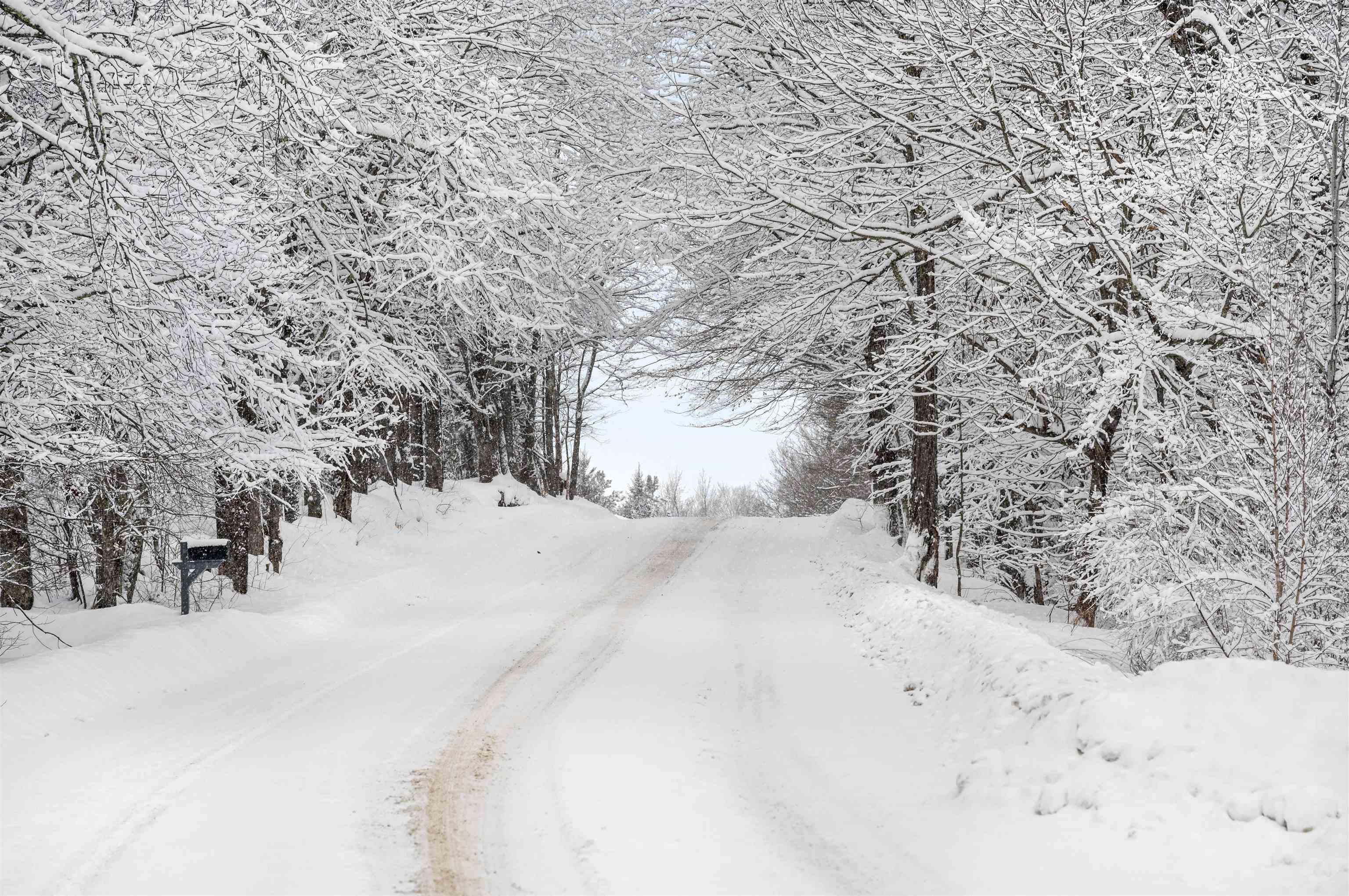 Hyde Park, Vermont 05655, United States, 4 Bedrooms Bedrooms, ,1 BathroomBathrooms,Residential,Pending,8005