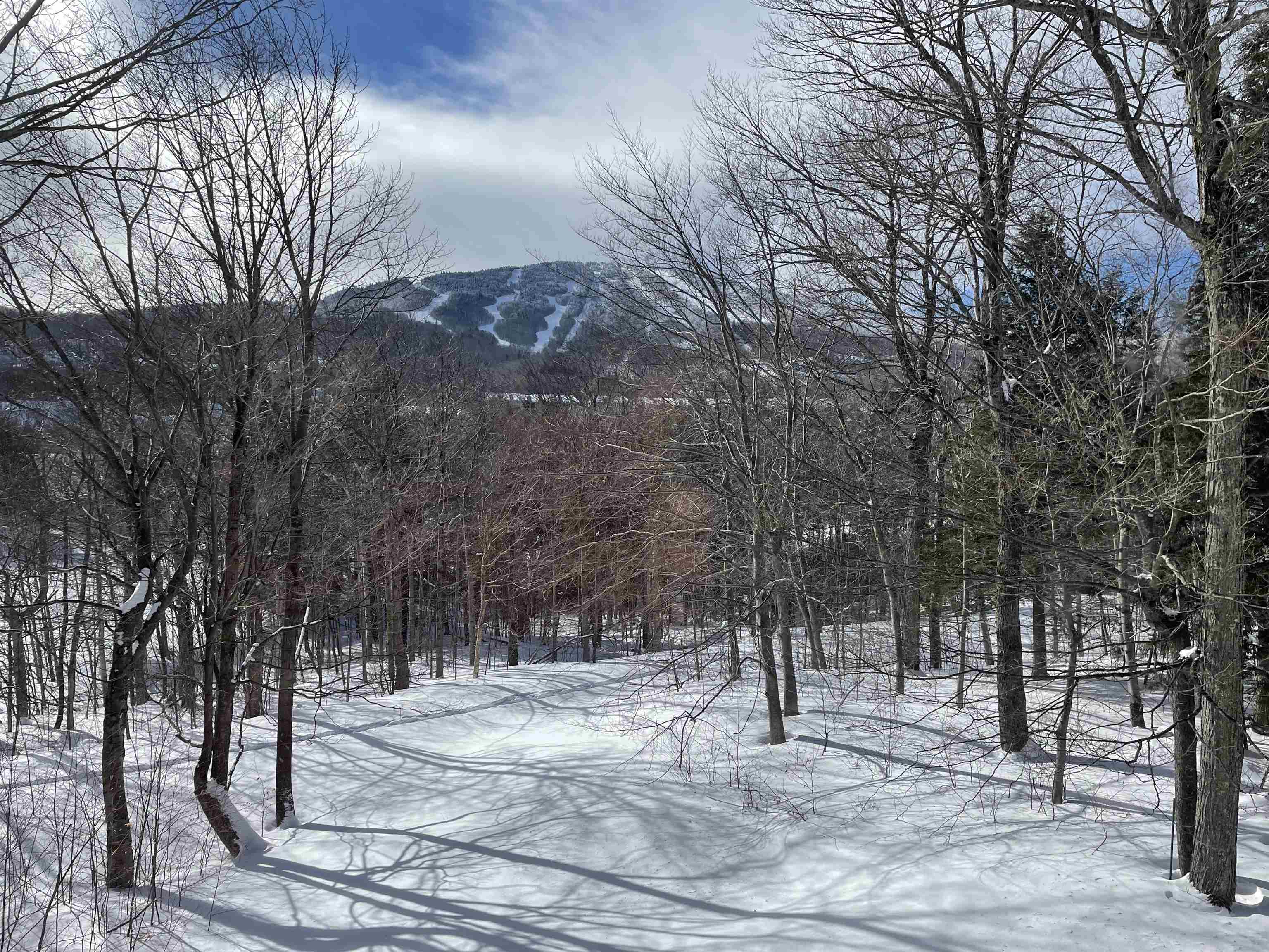 75 East Birch Road 35