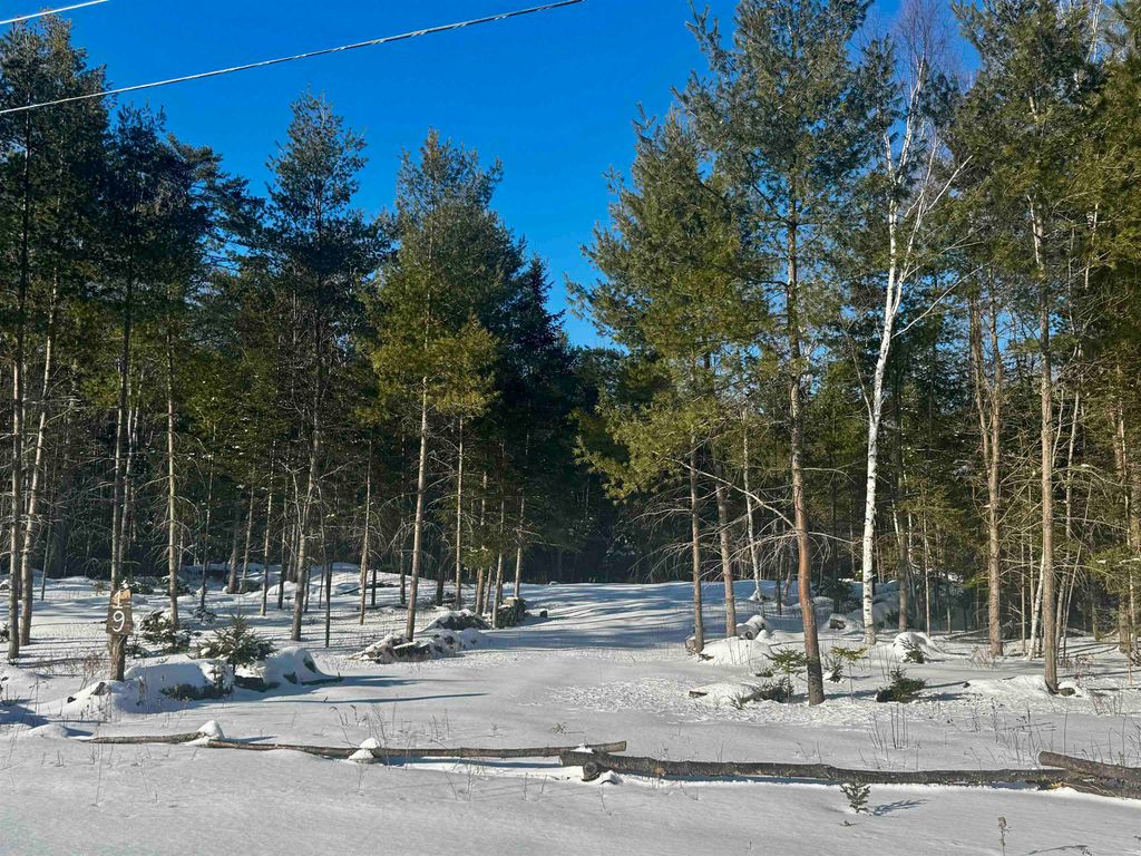 Photo of 19 Lodge Lane, Haverhill, NH 03785 (MLS # 5078199)