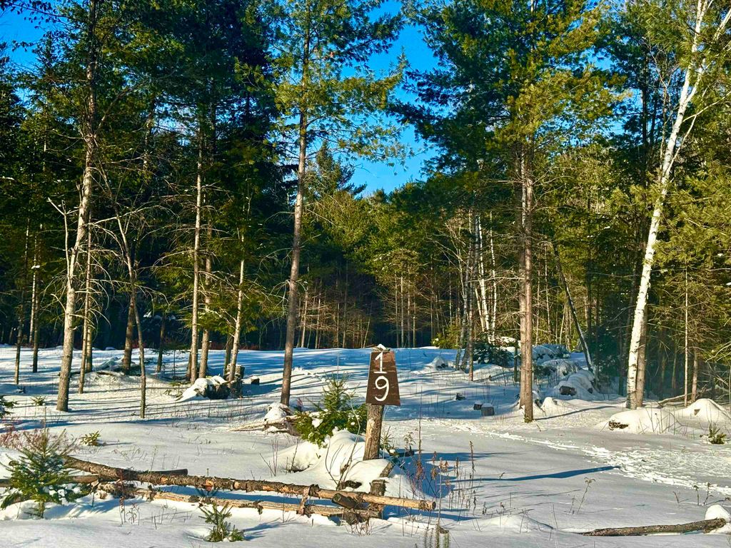 Photo of 19 Lodge Lane, Haverhill, NH 03785 (MLS # 5078199)