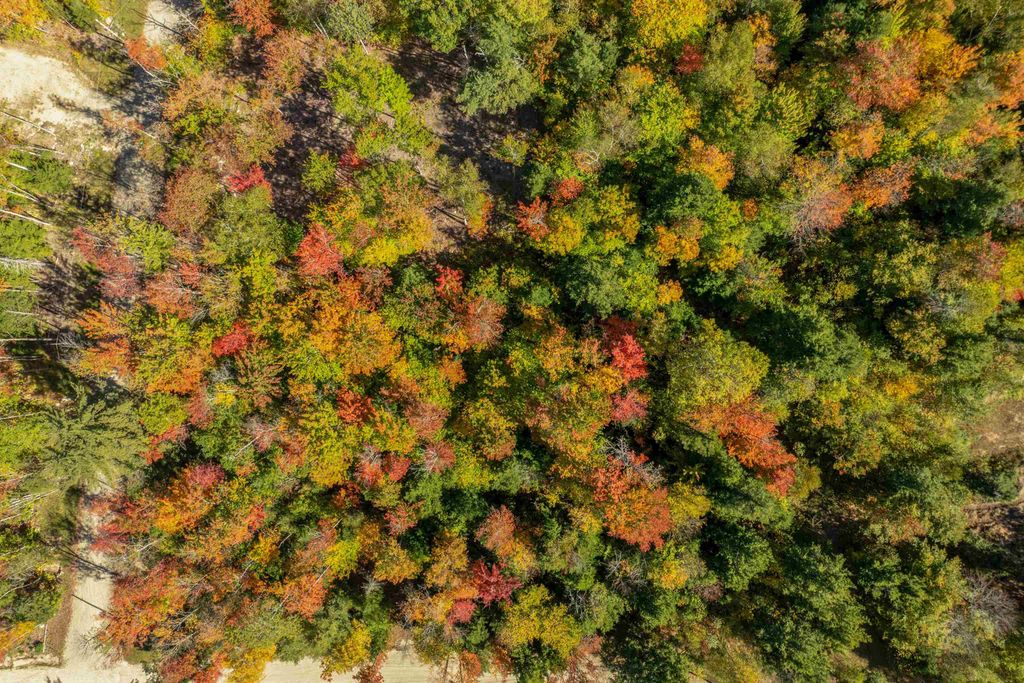 Photo of Butterfly Street, Campton, NH 03223 (MLS # 5064543)