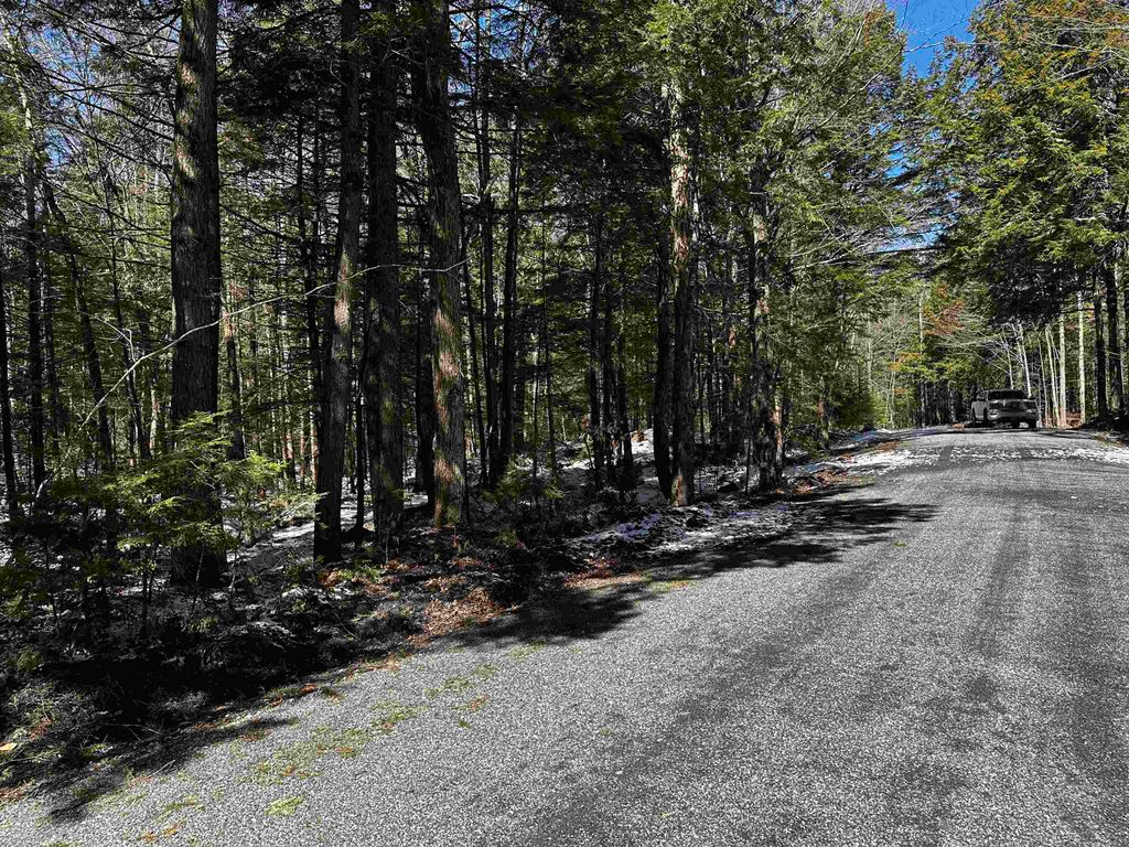 Photo of 119 Pauls Place #119, Enfield, NH 03748 (MLS # 5035541)