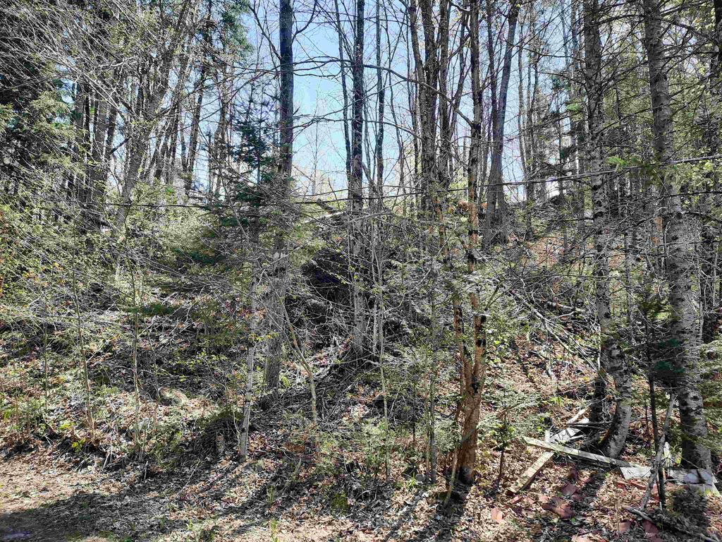Photo of 24 Marsh Road, Columbia, NH 03576 (MLS # 5072230)