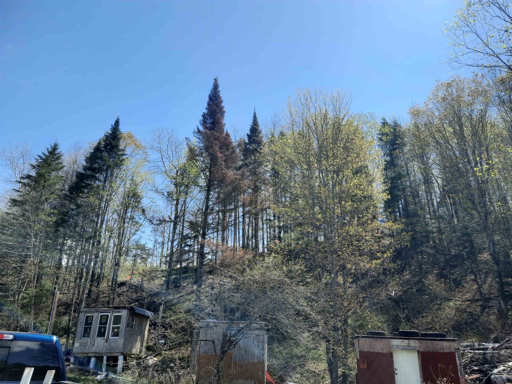 Photo of 24 Marsh Road, Columbia, NH 03576 (MLS # 5072230)