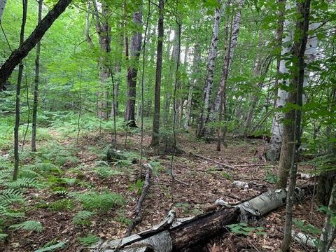 0 Leonard Road Pomfret VT 05067