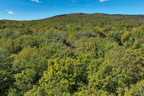 29 OLD WESTON MOUNTAIN RD, LUDLOW, VT 05149 - Image 6cf0f4db61c4436fe2010ea57fb5ee55/670221229