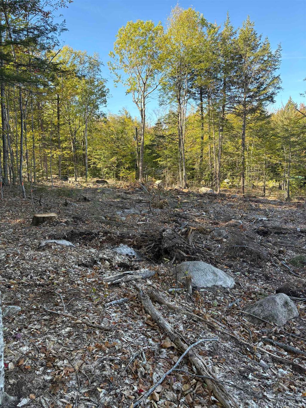 Photo of 27 Sugarloaf Drive, Ossipee, NH 03814 (MLS # 5067805)