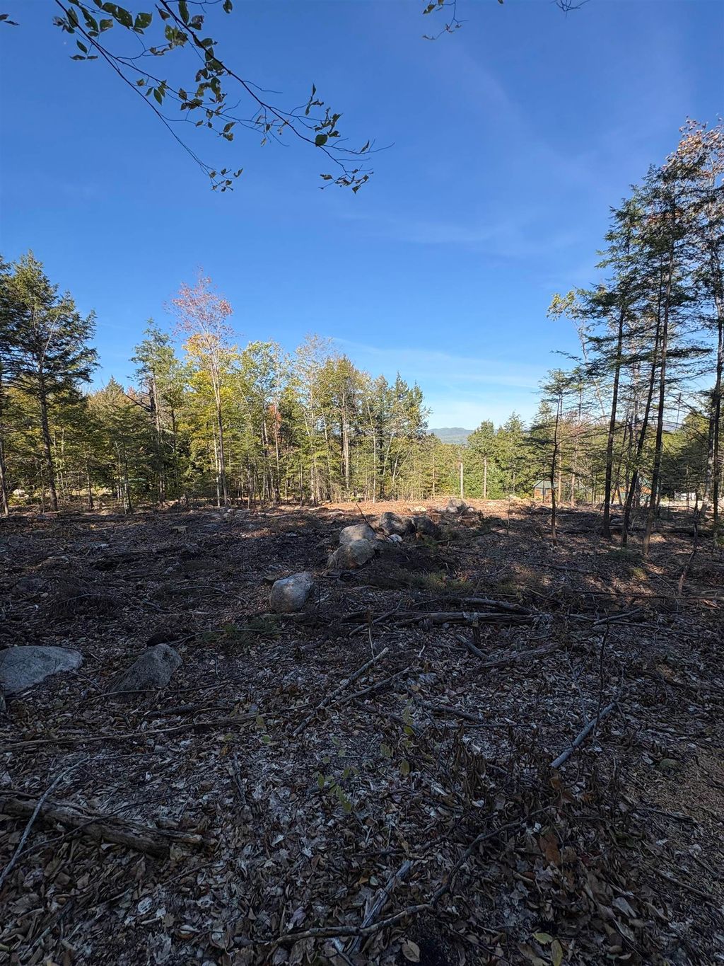 Photo of 27 Sugarloaf Drive, Ossipee, NH 03814 (MLS # 5067805)