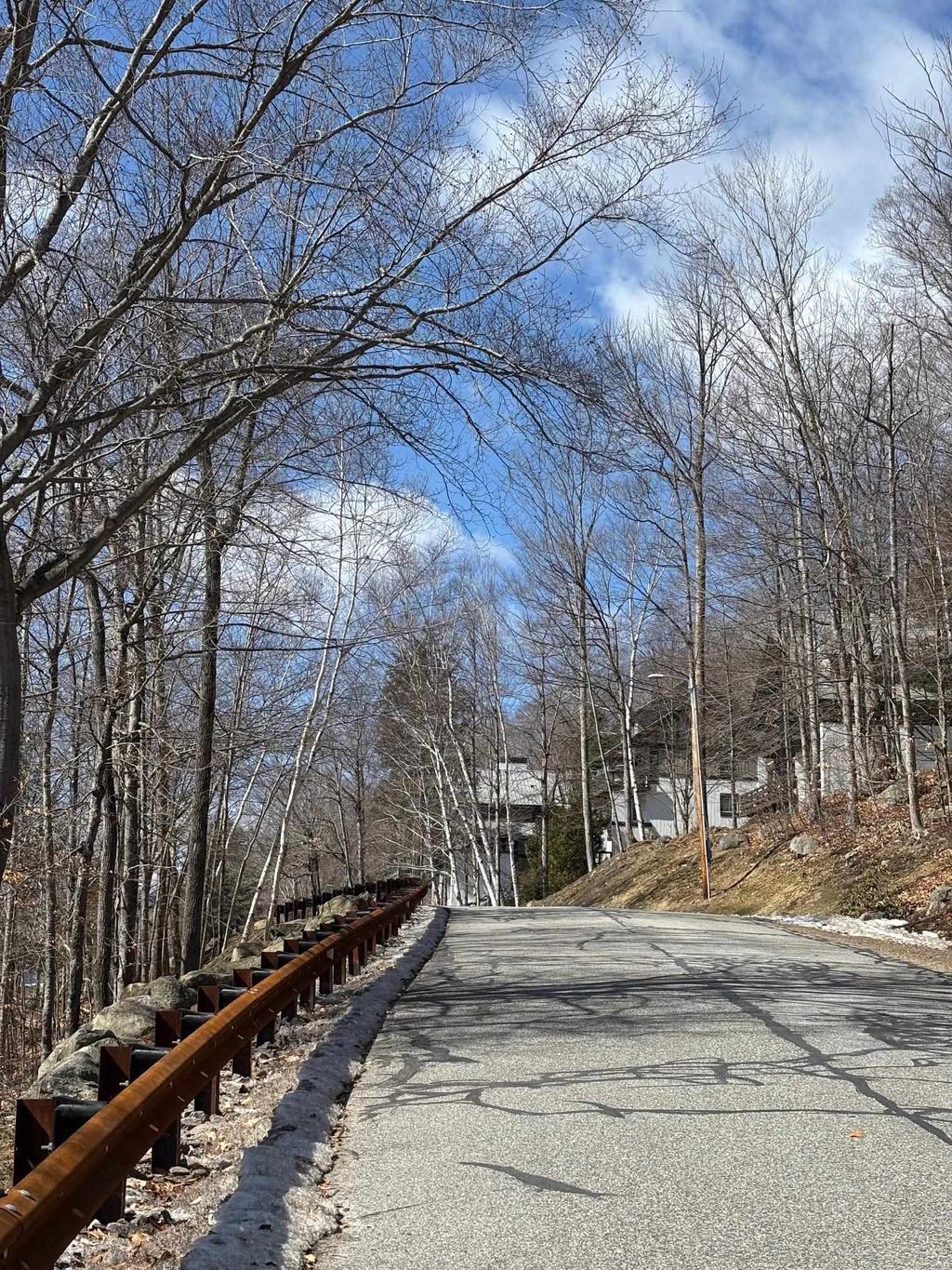 Photo of 3 Blueberry Road, Lincoln, NH 03251 (MLS # 5081154)