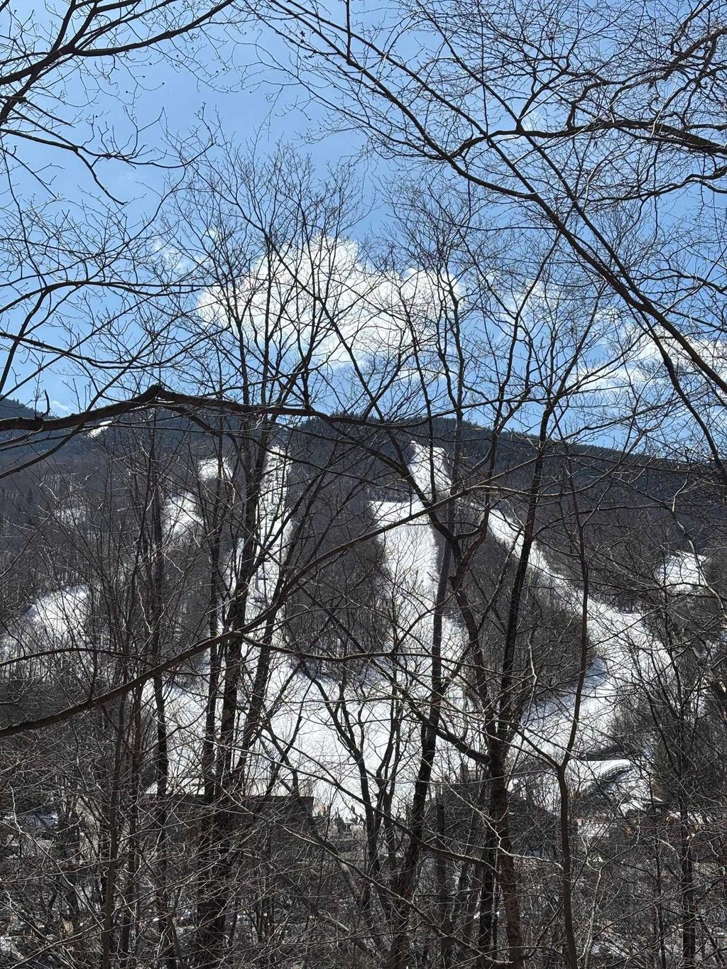 Photo of 3 Blueberry Road, Lincoln, NH 03251 (MLS # 5081154)