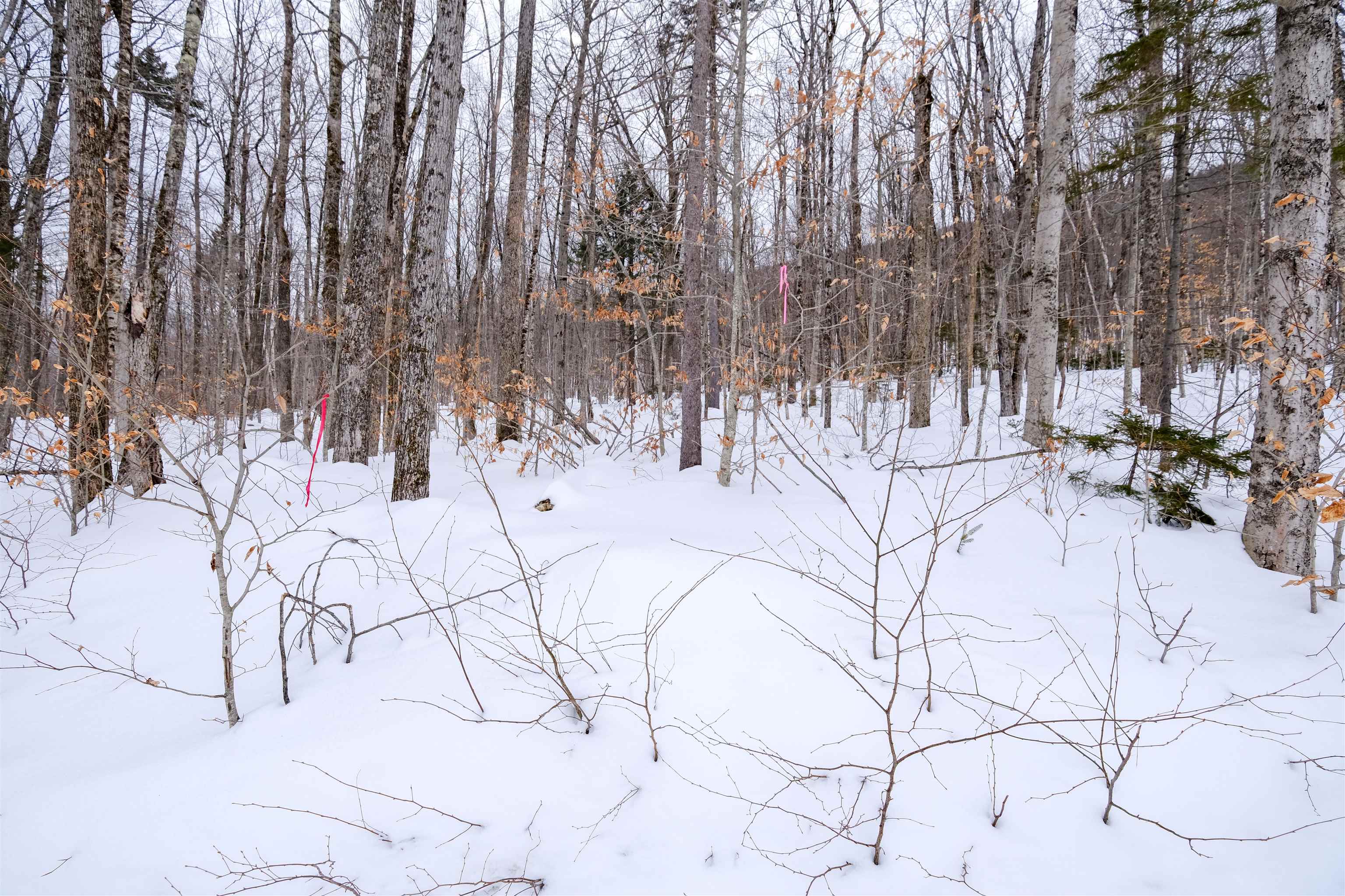 0 Markham Mountain Road