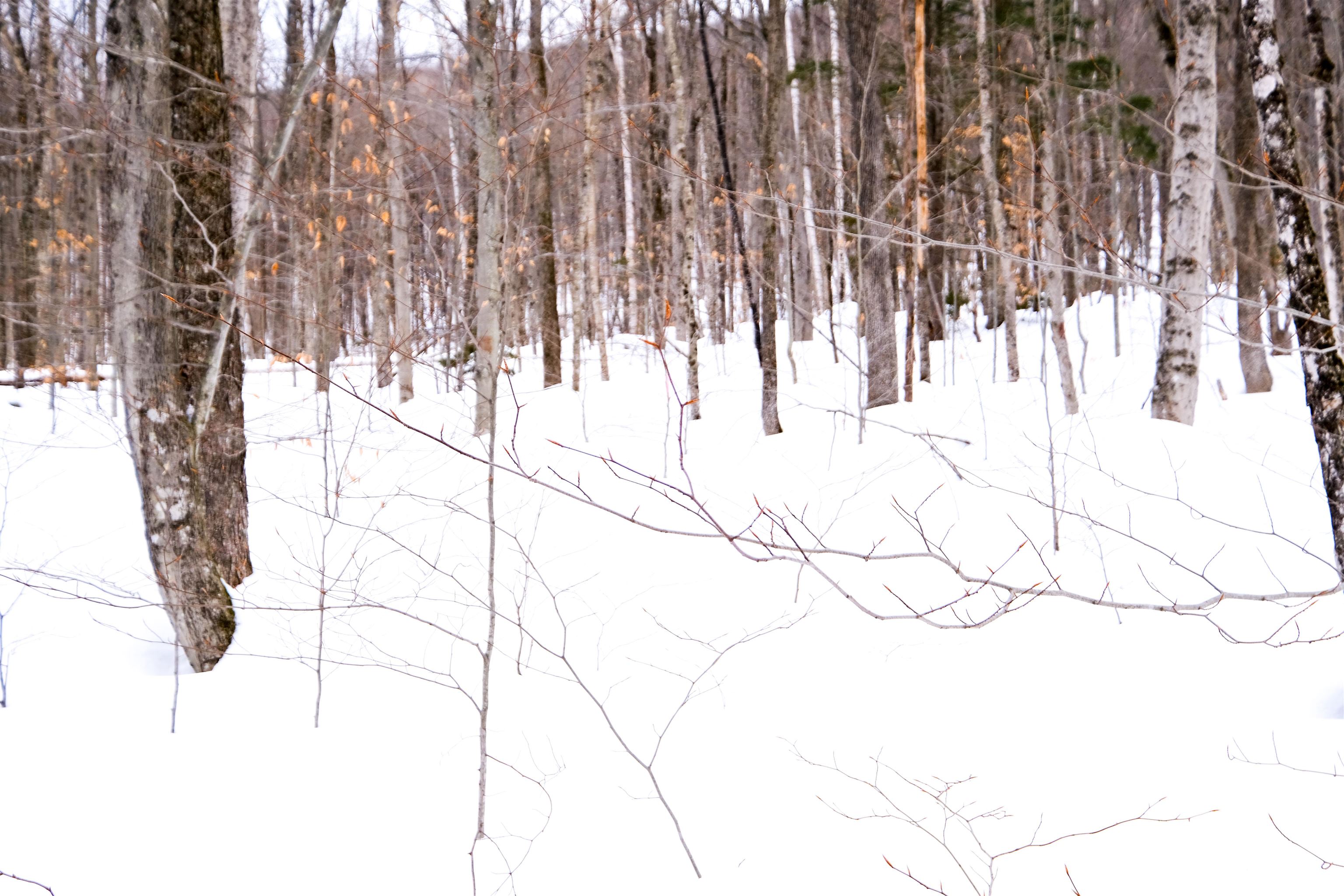 0 Markham Mountain Road