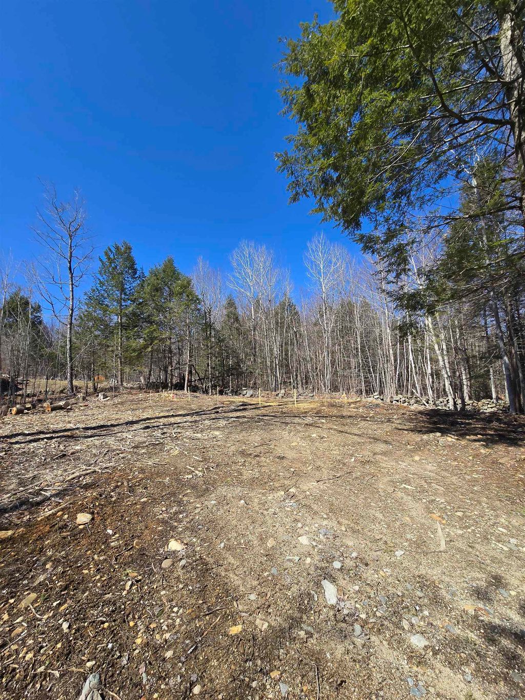 Photo of 22 Viviana Drive #Lot 99, Farmington, NH 03835 (MLS # 5075421)
