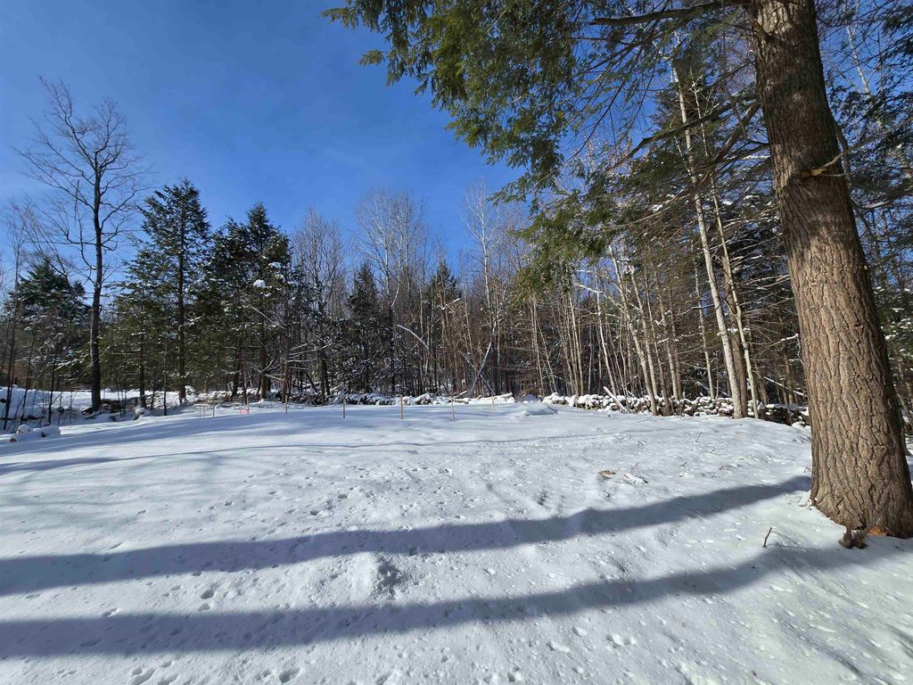 Photo of 22 Viviana Drive #Lot 99, Farmington, NH 03835 (MLS # 5075421)