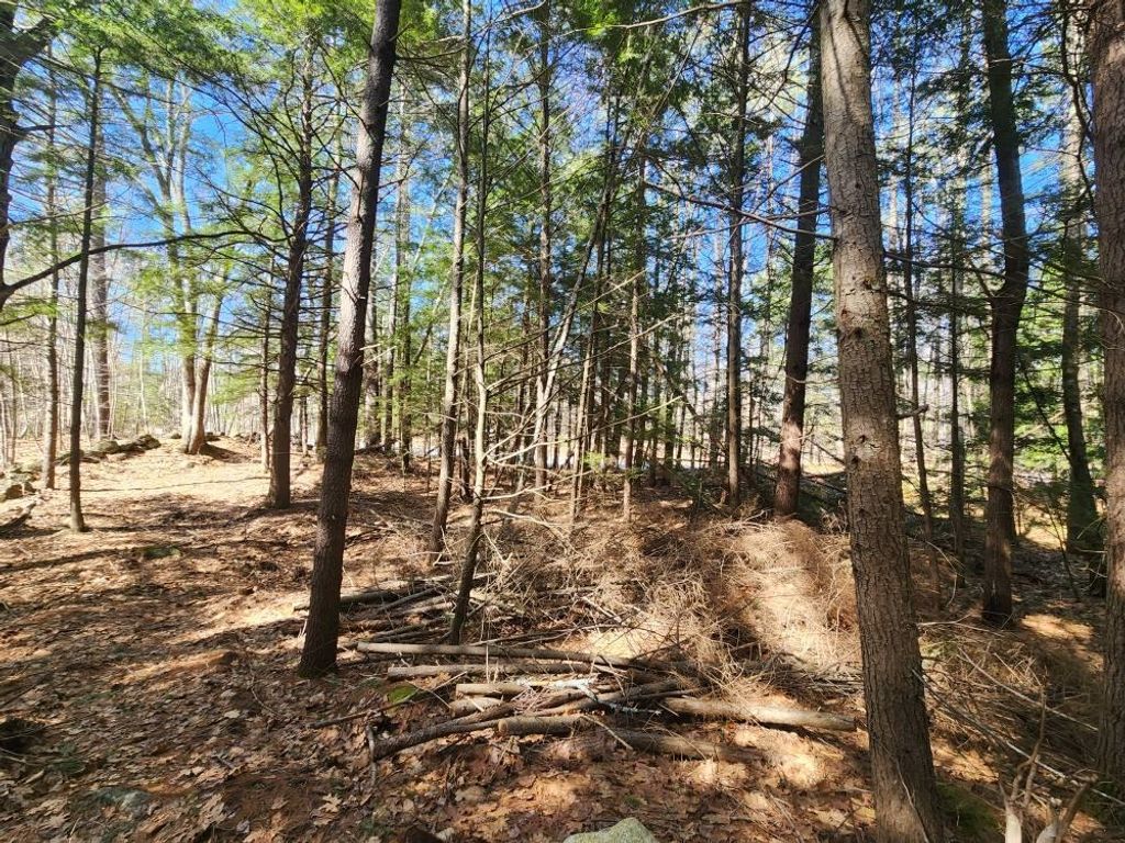 Photo of 1 West Main Street #233-1, Hillsborough, NH 03244 (MLS # 5026009)