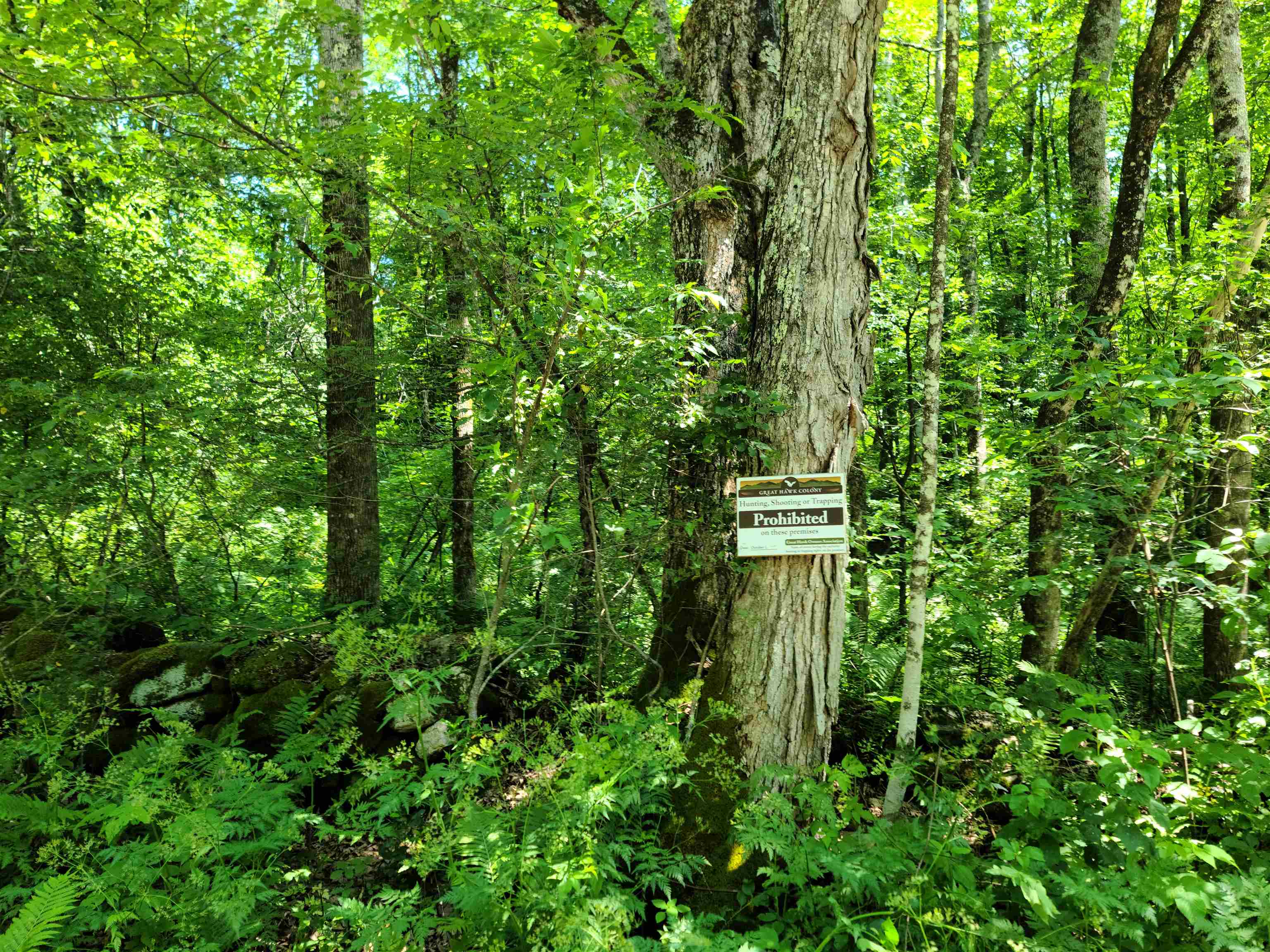 868 Maple Hill T-6 (Tarbett Sector)