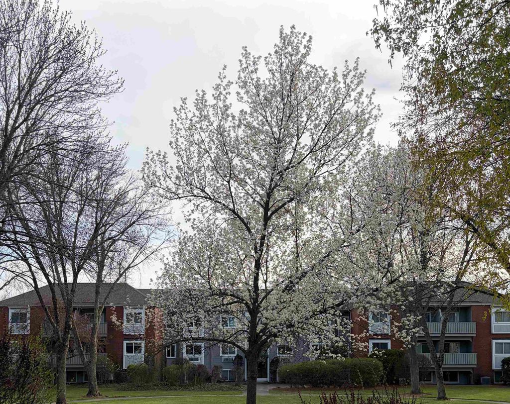 Photo of 113 Cluff Crossing Road Road #28, Salem, NH 03073 (MLS # 5085839)