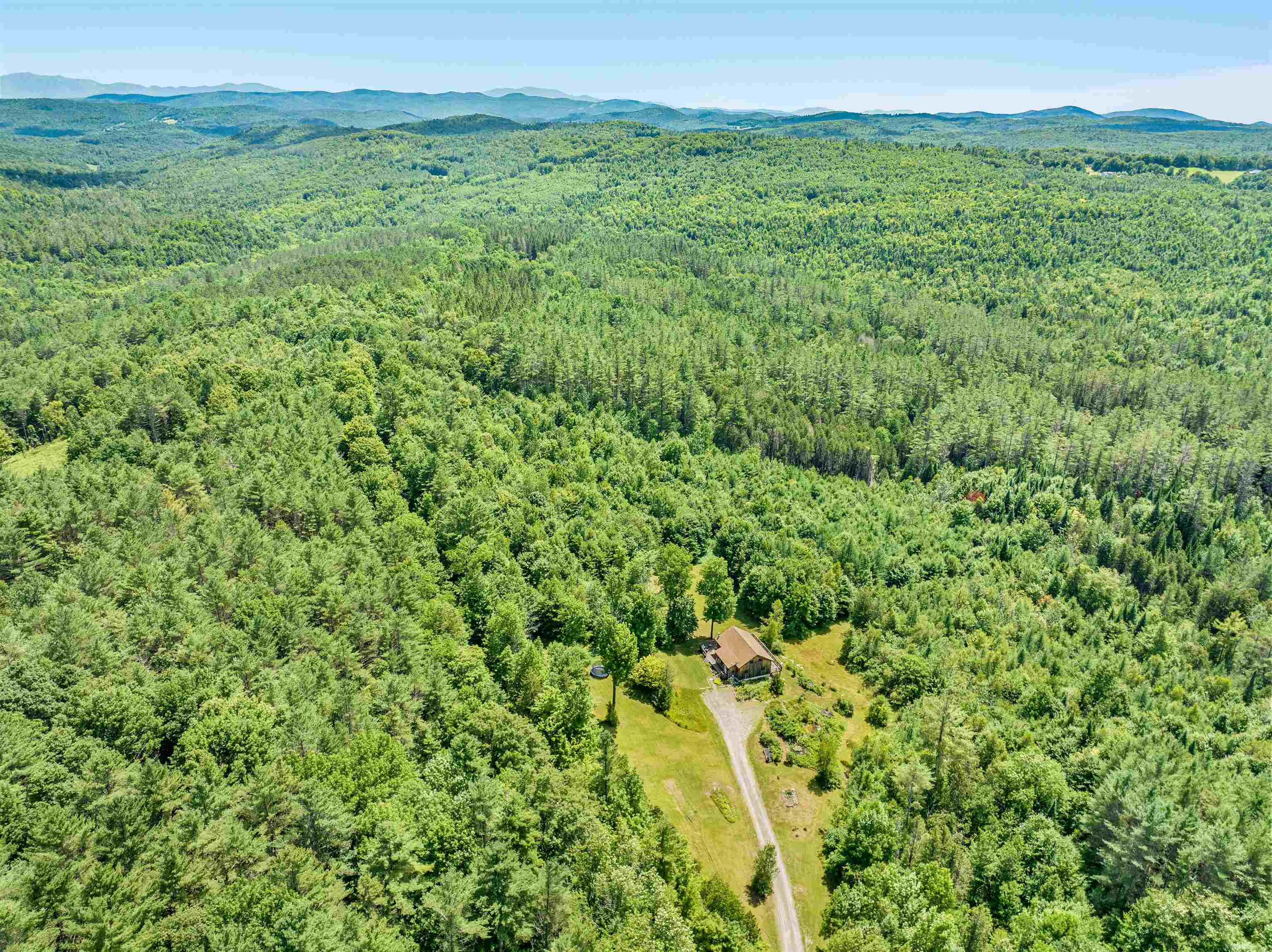 1382 Penny Lane