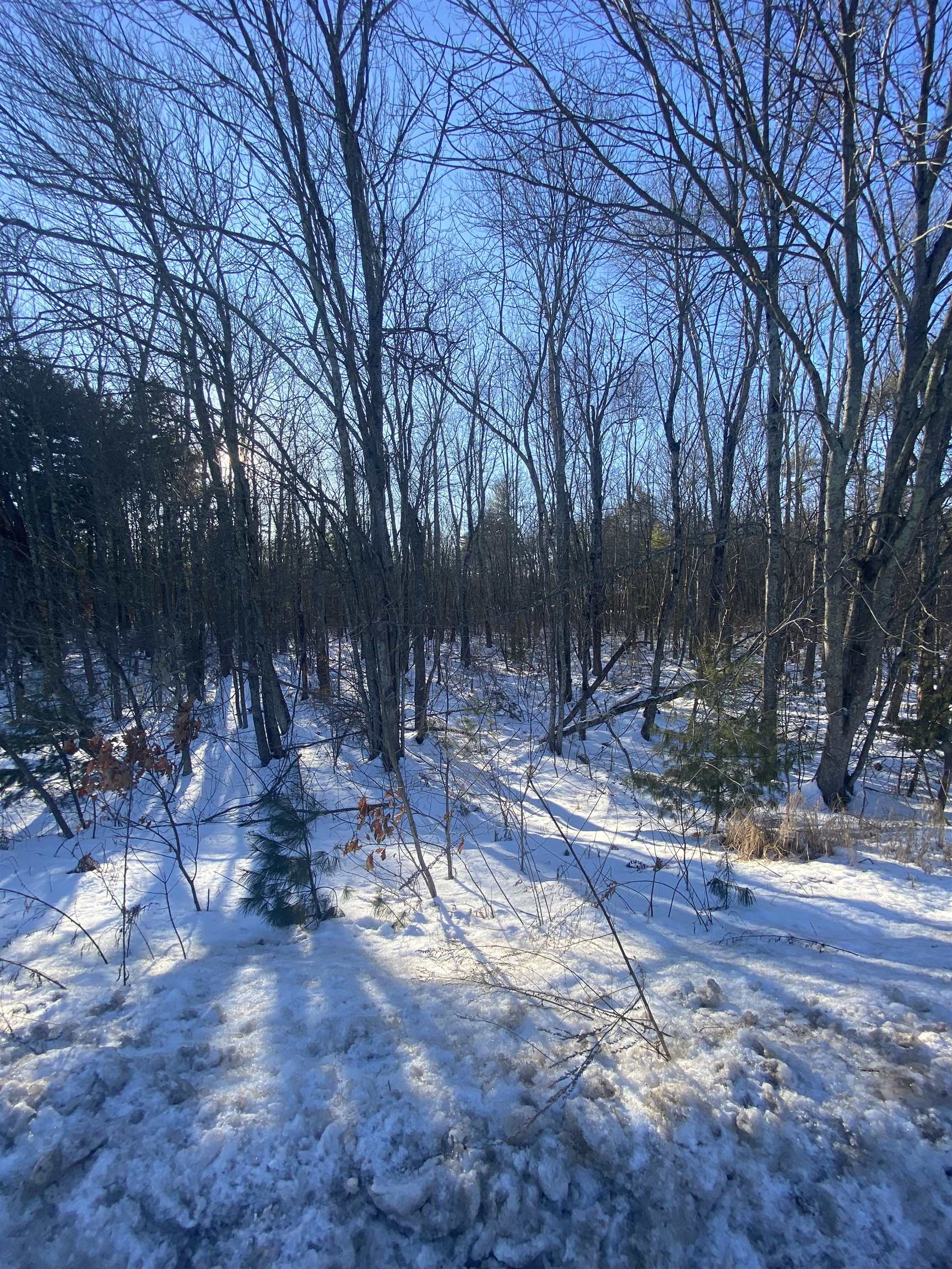 91 Fremont Road