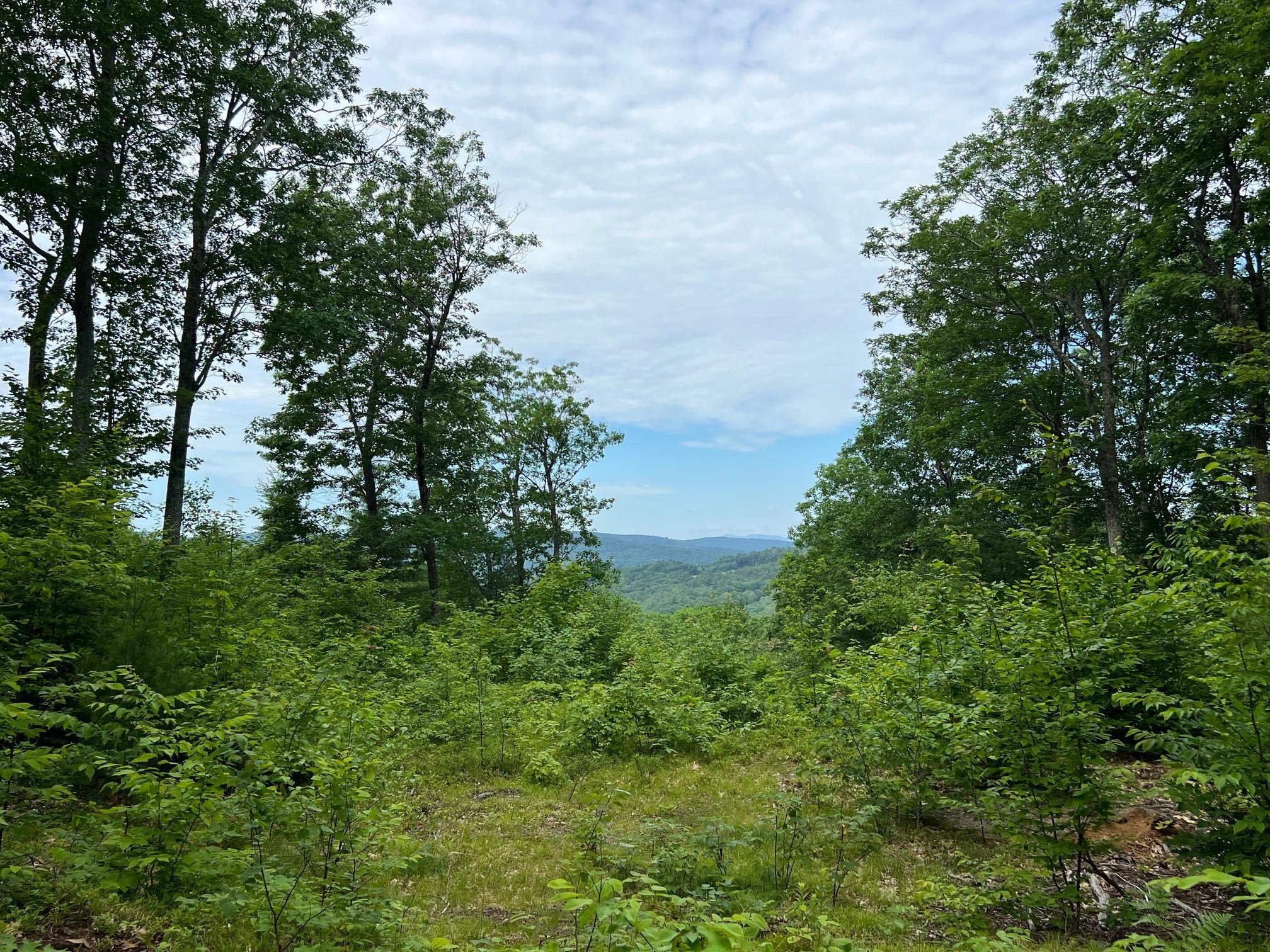12 Peaked Hill Road