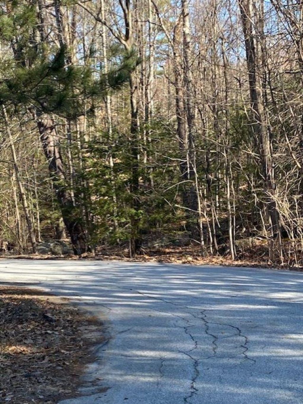 Photo of Orchard View Drive #008, Amherst, NH 03031 (MLS # 5082839)