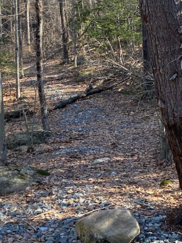 Orchard View Drive 008