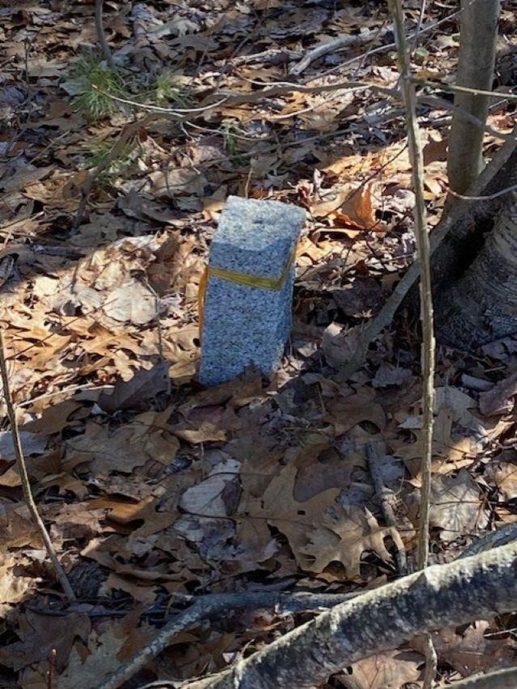 Photo of Orchard View Drive #008, Amherst, NH 03031 (MLS # 5082839)