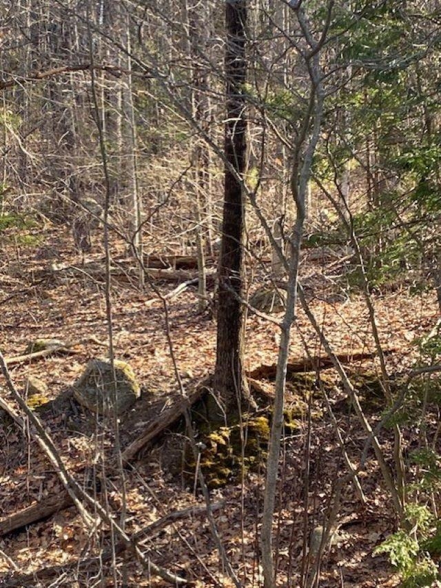 Orchard View Drive 008