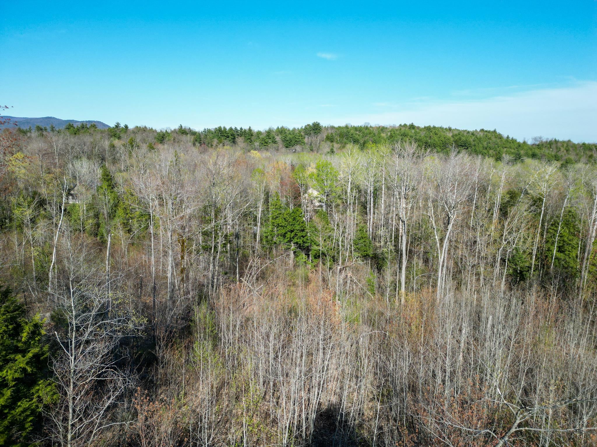 64 Grandview Road