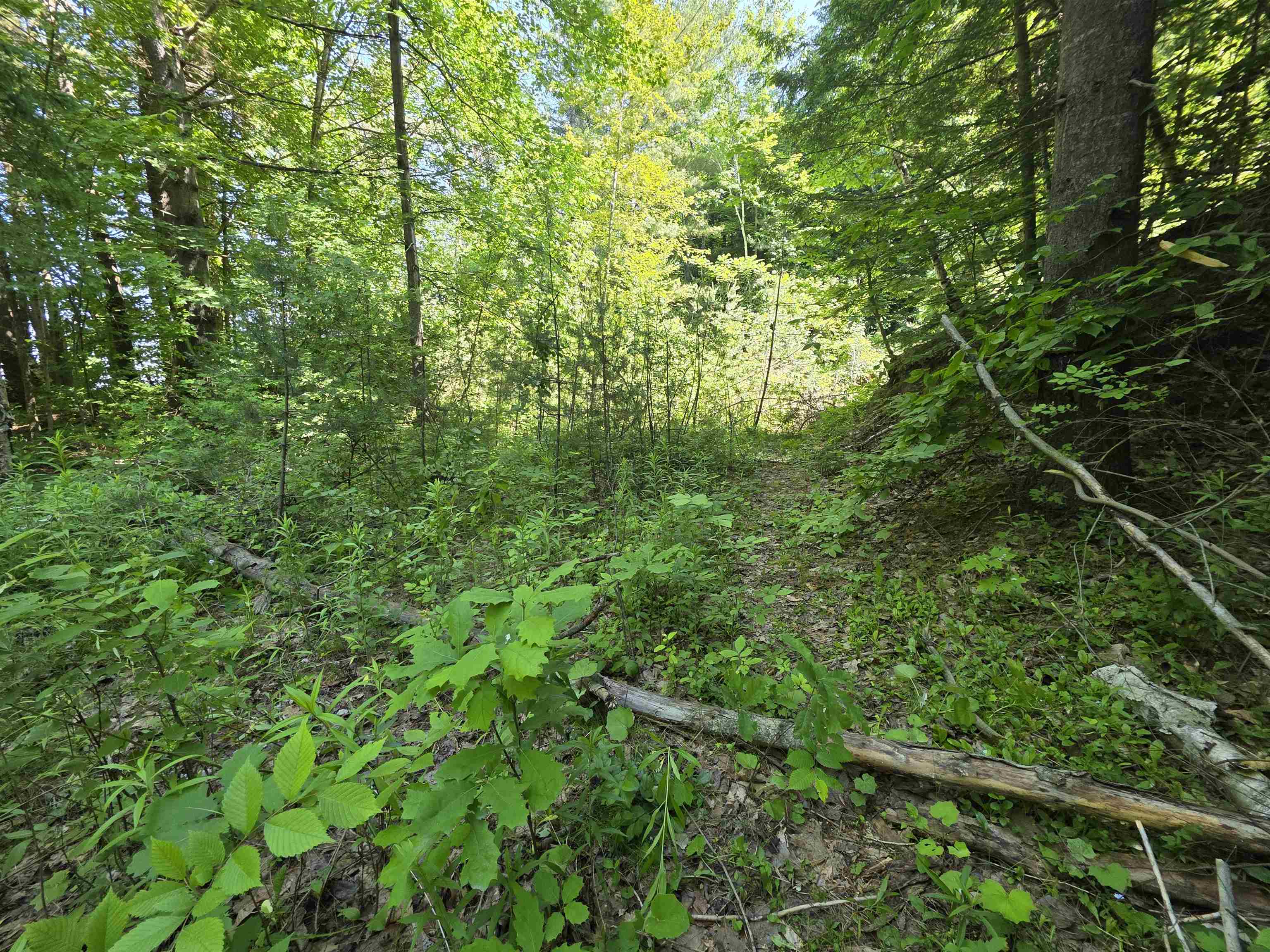 Lot F Quarry Street