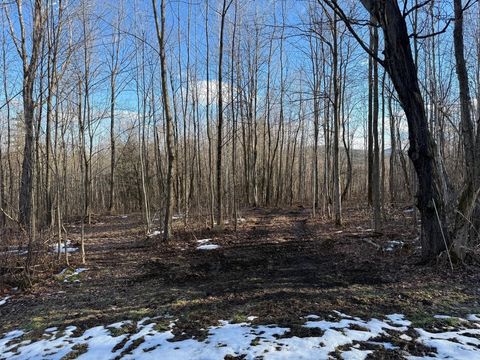 92 Great Northern Road Troy VT 05868