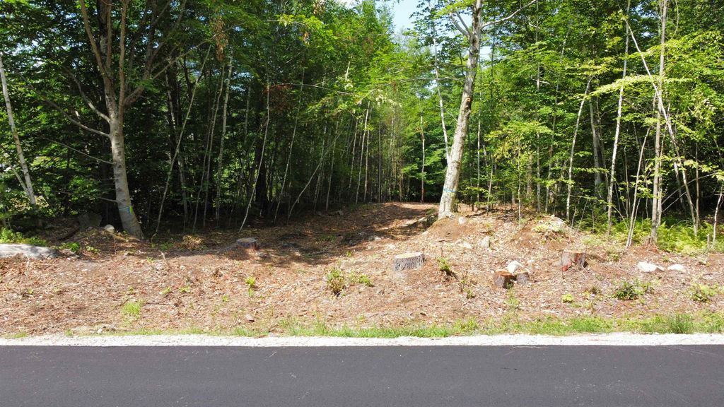 Photo of 251 Winnipesaukee Drive, Wolfeboro, NH 03894 (MLS # 5077181)