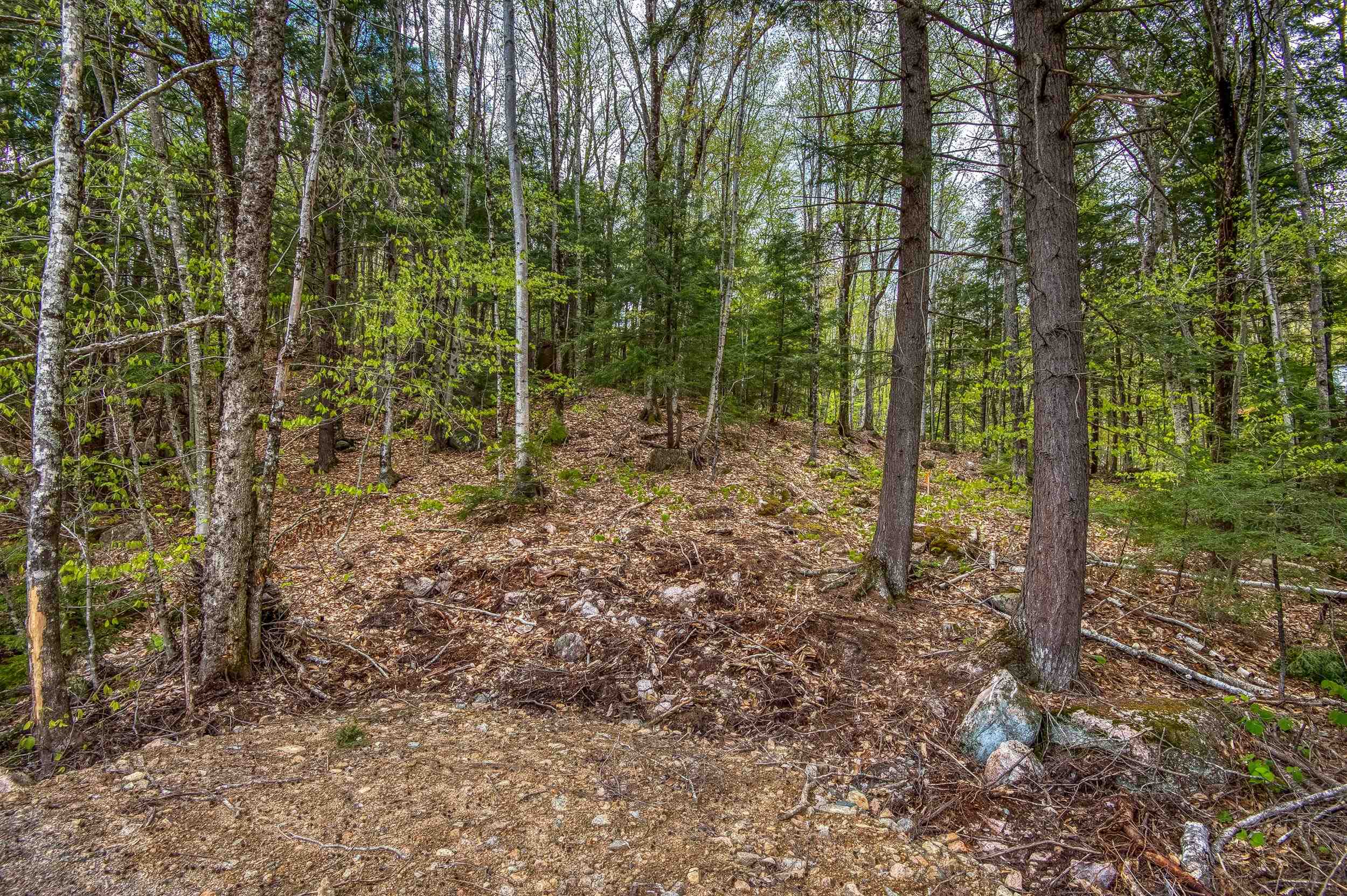00 Ellis Ridge Road Lot B6-D