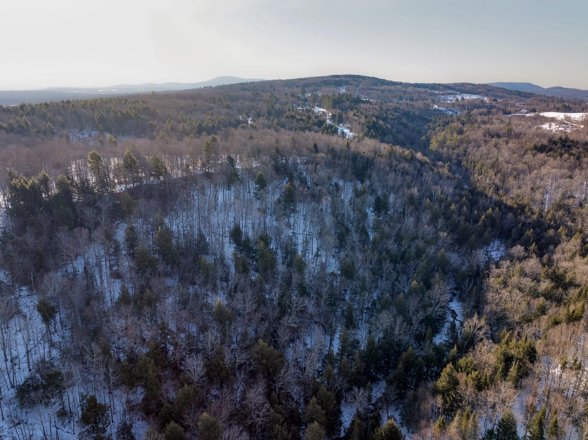 Wolcott, Vermont 05680, United States, ,Land,Active,63283