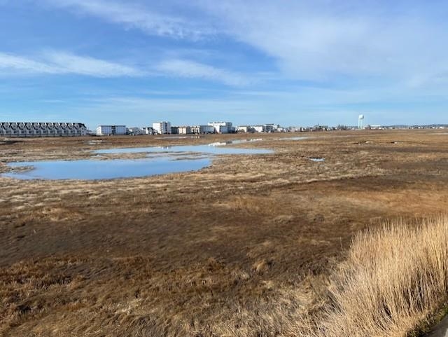 567 Ocean Boulevard 107