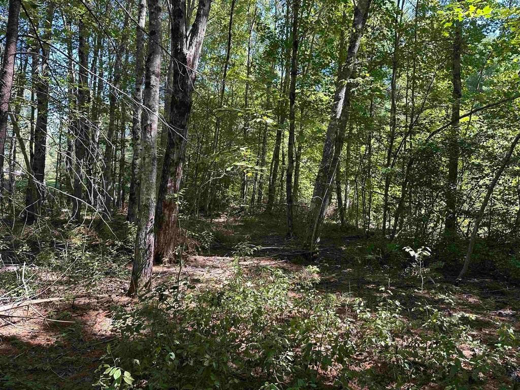 Photo of 12 Baxter Place, Alton, NH 03809 (MLS # 5078680)