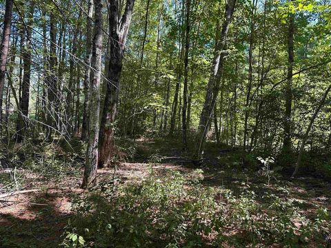 12 Baxter Place Alton NH 03809