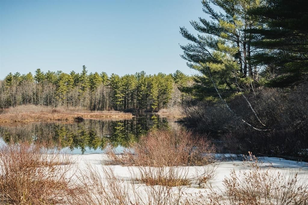 Photo of 12 Baxter Place, Alton, NH 03809 (MLS # 5078680)